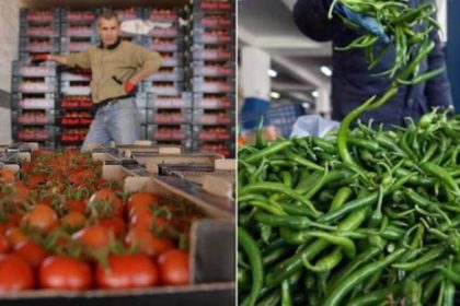 Tarım ürünleri ihracatında domates ve biber ilk sırada