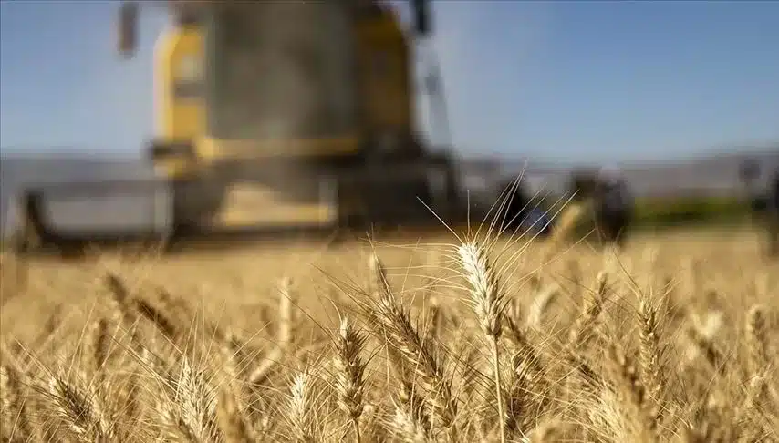 Mayıs ayı tarımsal destek ödemeleri yattı mı, ne zaman yatacak? Bakanlık açıkladı