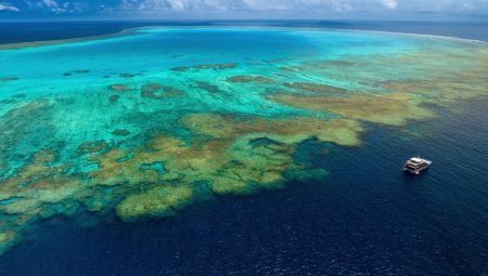 Bilimin açıklayamadığı rekor sıcaklık bilimin-aciklayamadigi-rekor-sicaklik-inxE6WTR.jpg