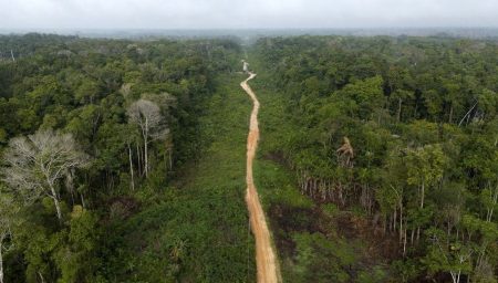Dünyanın akciğerlerinde petrol tehdidi: Sondaja izin çıktı dunyanin-akcigerlerinde-petrol-tehdidi-sondaja-izin-cikti-T9OBpVcl.jpg