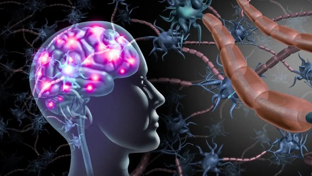 Duygusal anılar beyne nasıl kazınıyor? duygusal-anilar-beyne-nasil-kaziniyor-kvpIjxBN.jpg