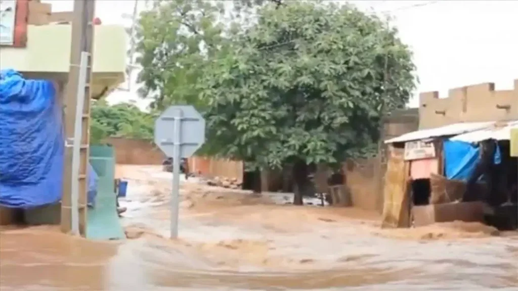 Meksika’da şiddetli yağışlar nedeniyle hayatını kaybedenlerin sayısı 64’e yükseldi meksikada-siddetli-yagislar-nedeniyle-hayatini-kaybedenlerin-sayisi-64e-yukseldi-zuiuZhUe.jpg