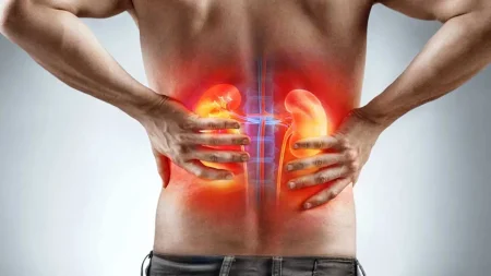 Sağlıklı ve güçlü böbrekler için en etkili 7 besin saglikli-ve-guclu-bobrekler-icin-en-etkili-7-besin-7KGCJVf7.jpg