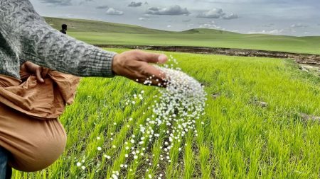 Tarımda girdi enflasyonu Ağustos’ta da yükselmeye devam etti tarimda-girdi-enflasyonu-agustosta-da-yukselmeye-devam-etti-H6LJLGbV.jpg