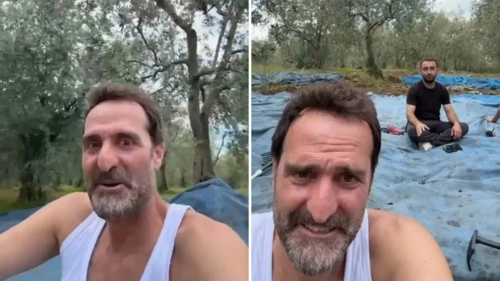 Ünlü oyuncu Timur Acar İznik’te arsa aldı, ilk zeytin hasadını yaptı unlu-oyuncu-timur-acar-iznikte-arsa-aldi-ilk-zeytin-hasadini-yapti-me8TdAPC.jpg