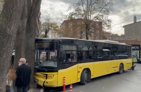 Bağcılar’da İETT otobüsü ağaca çarptı Bagcilarda iett otobusu agaca carpti we1PJ5tG.png