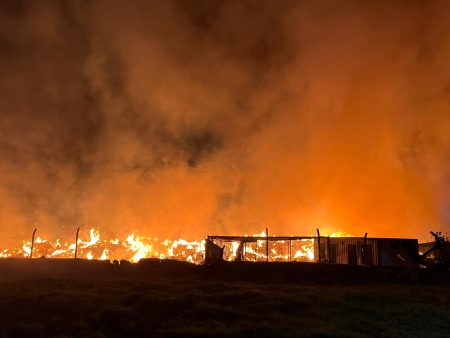 İzmir’de çöp depolama alanında yangın: Alevlere müdahale sürüyor