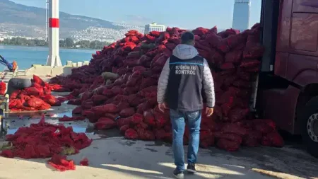 İzmir’de kaçak avlanan 27 ton kara midye ele geçirildi