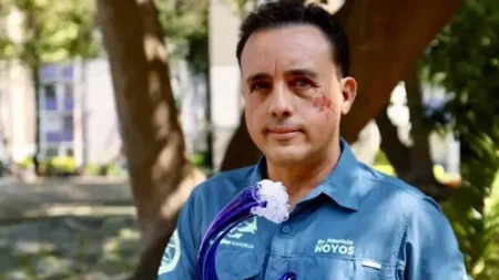 Köpekbalığı başından ısırdı, sağ kaldı