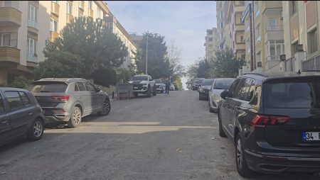 Miras kavgasında hakim ağabeyini silahla vurdu