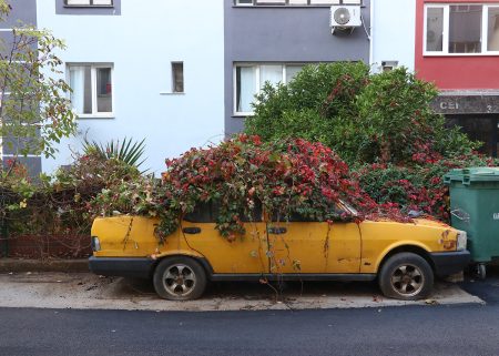Sahibi ölen araba 8 yıldır aynı noktada…