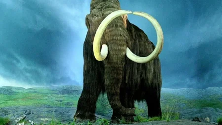 Yünlü mamuttan dünyanın en eski RNA’sı çıkarıldı Yunlu mamuttan dunyanin en eski rnasi cikarildi USwbASAW.jpg