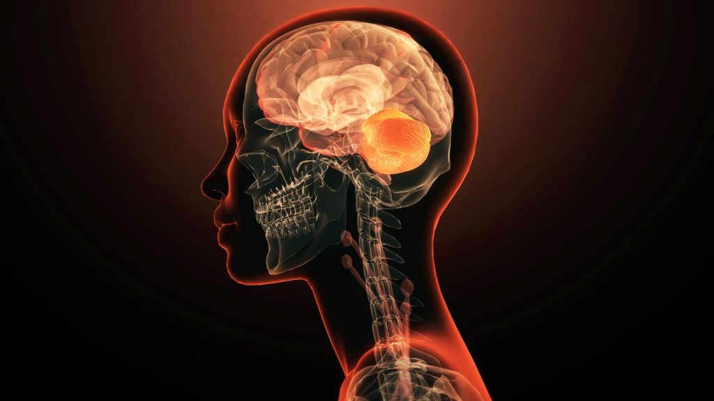 Anilariniz sandiginiz kadar guvenilir olmayabilir beynimiz gecmisi surekli yeniden yaziyor vHnw56Xf.jpg