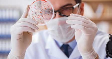 Avrupa alarma geçti: Veba laboratuardan mı yayıldı? Avrupa alarma gecti veba laboratuardan mi yayildi vzuf1Vc7.jpg