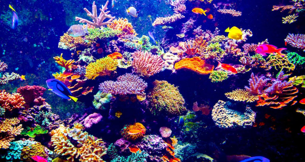 Bilim insanları uyardı: Ekosistem tehlikede