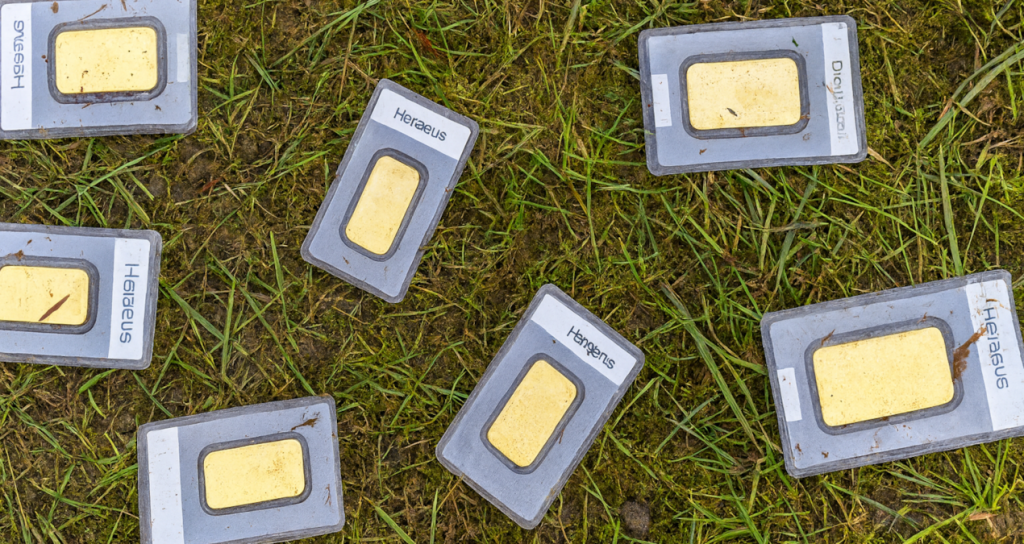 Çim biçerken 1,5 milyon liralık altın buldu Cim bicerken 15 milyon liralik altin buldu kepdOZbi.jpg