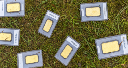 Cim bicerken 15 milyon liralik altin buldu kepdOZbi.jpg