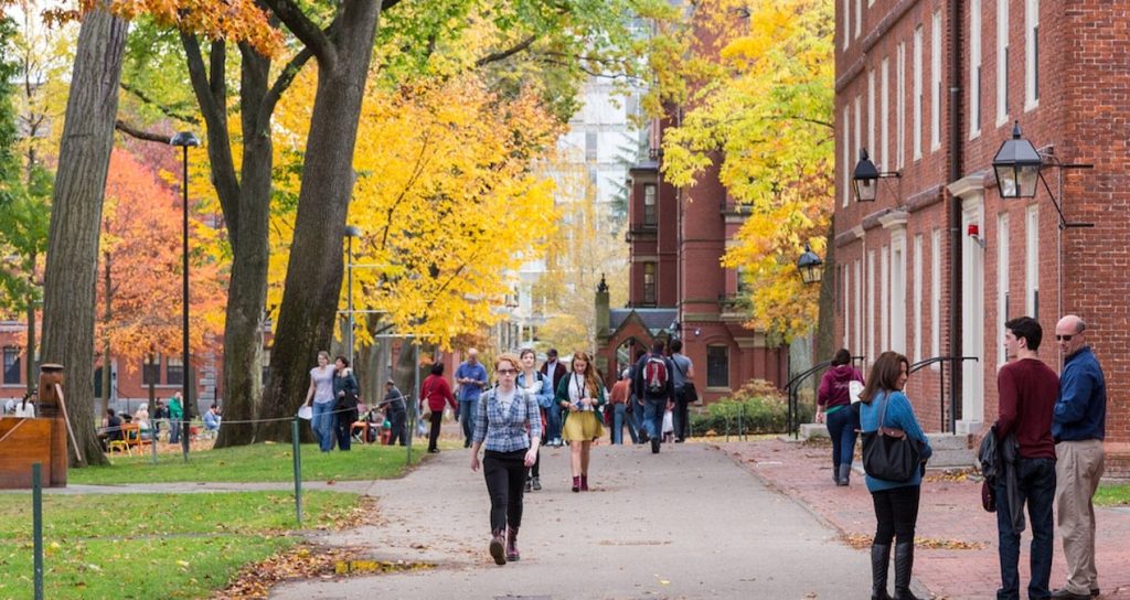 İnsan derisinden kitap cildi yapılmış… Cezası belli oldu