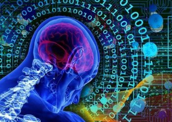 Insanin beyin dokulariyla calisan bilgisayarlar geliyor aSekJDK2.jpg