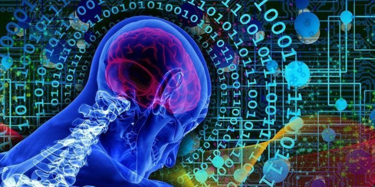 Insanin beyin dokulariyla calisan bilgisayarlar geliyor aSekJDK2.jpg