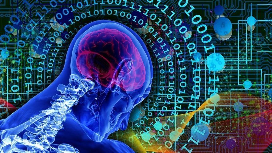 Insanin beyin dokulariyla calisan bilgisayarlar geliyor aSekJDK2.jpg