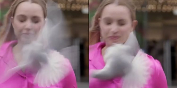 Muhabire kus carpinca haber yarida kaldi 95FBr42V.jpg