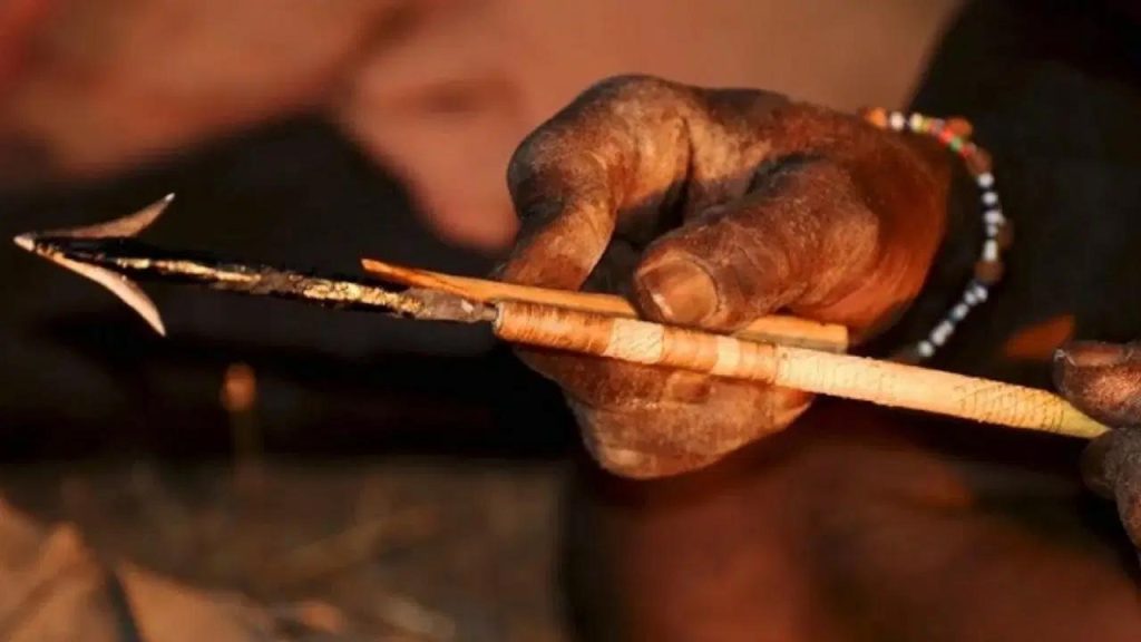 Bilinen en eski zehirli oklar 60 bin yıl önce kullanılmış