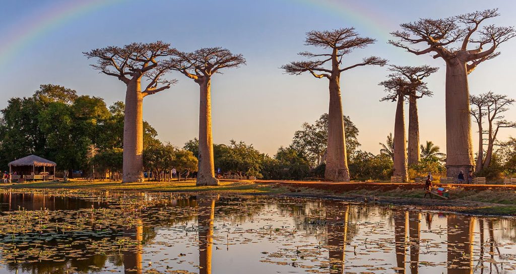 Canlıların yüzde 90’ı sadece burada yaşıyor