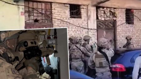 İki ilde büyük narkotik operasyonu: 445 gözaltı