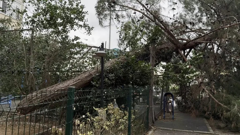 İstanbul’da kuvvetli rüzgar: Çatı uçtu, ağaçlar devrildi!