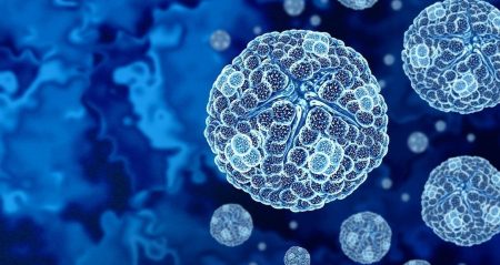 Japonya’da dev virüs keşfi