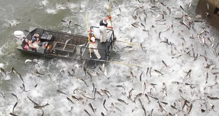 Motor sesi duyan sudan sıçrıyor…