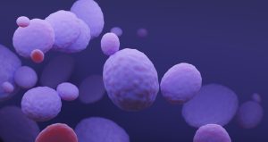 Ölümcül ve ilaca dayanıklı mantar 50’den fazla ülkeye yayıldı