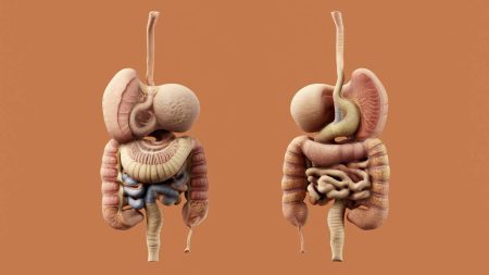 Sosyal medyadaki bağırsak detoksu trendine dikkat