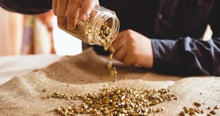 Yoksulken, dünyanın en büyük altın ihracatçısı haline geldi