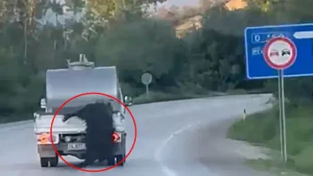 ‘Bu kadar da olmaz!’ dedirten görüntüler