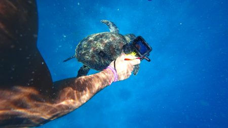 Çinlilerle mücadele edemedi…GoPro satılıyor.
