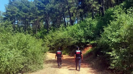 Muğla’da ormanlara giriş yasağı