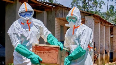 Ölümcül Ebola salgını 11 ülkeyi tehdit ediyor!