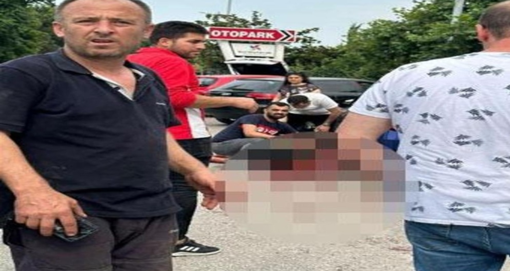 Patronunun boğazını kesip milyonluk çek ve ziynet eşyalarıyla kaçtı patronunun-bogazini-kesip-milyonluk-cek-ve-ziynet-esyalariyla-kacti-YCEe9a3T.jpg