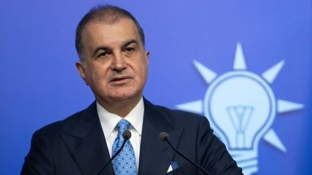 AK Parti Sözcüsü Ömer Çelik’ten AP üyesinin sözlerine tepki