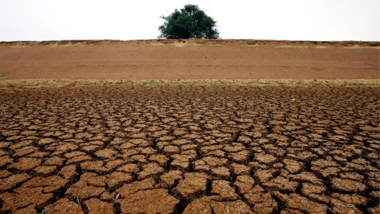 Avrupa’da aşırı sıcaklar yapısal ekonomik riske dönüşebilir