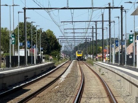 Belçika’da aşırı sıcaklar nedeniyle tren seferleri iptal edilecek Belçika’da aşırı sıcaklar nedeniyle tren seferleri iptal edilecek