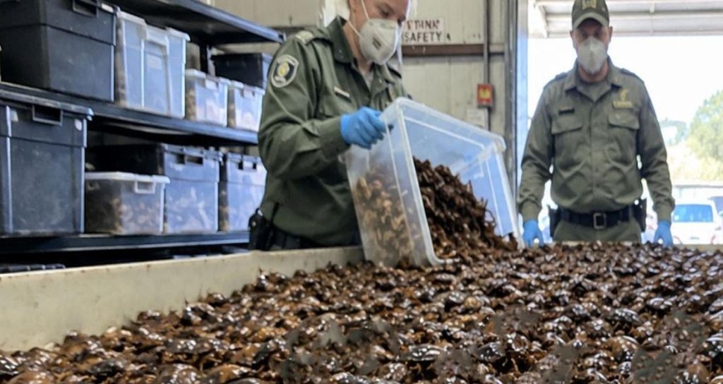 gizli-bolmeden-tam-100-bin-tane-cikti-9UiQiYJu.jpg