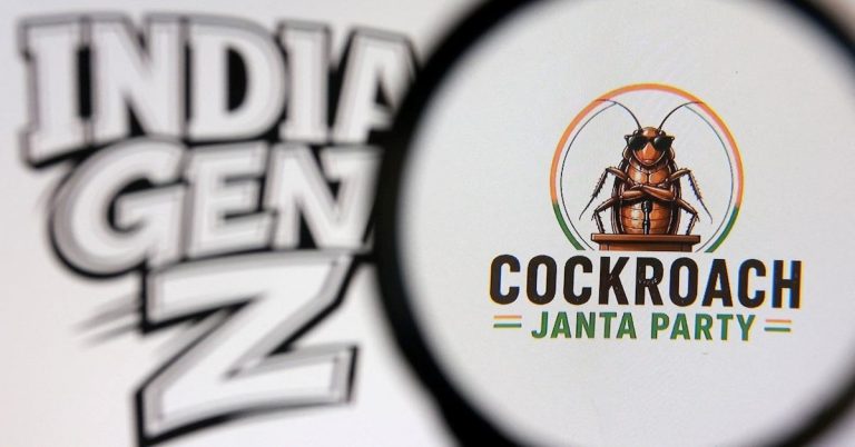 Hindistan’da ‘Hamamböceği Partisi’nin popülaritesi artıyor