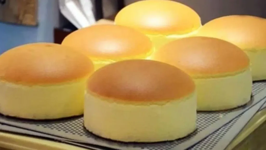 japon-usulu-cheesecake-tarifi-N12yvBQz.jpg