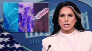 Remarkable claim from US Intelligence Director Gabbard