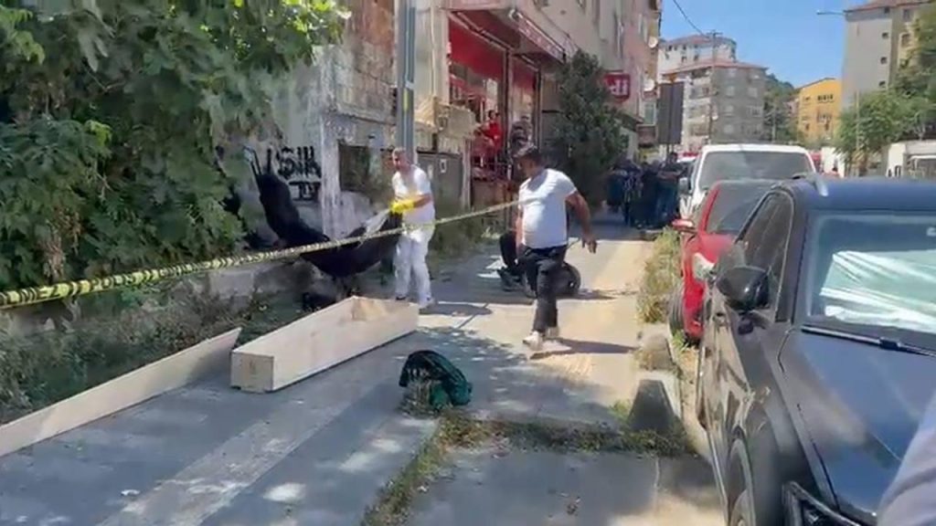 Sarıyer’de kaybolan kedisini ararken ceset buldu
