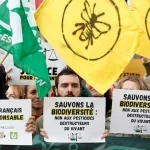 Arılara zarar veren ilaçlar Fransız hükümetine istifa getirdi