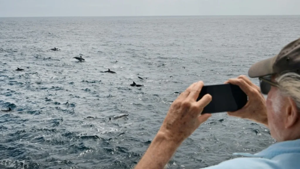Aşırı sıcaklar deniz canlılarının yaşam alanlarını kökten değiştiriyor